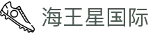 海王星国际 - 追求卓越品质与极致服务的顶尖在线博弈入口