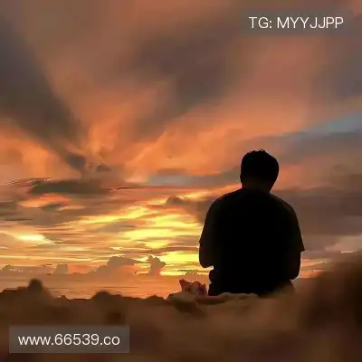 仰鲁沛
